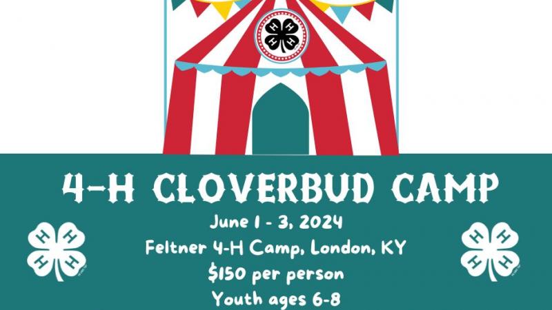 Cloverbud Camp